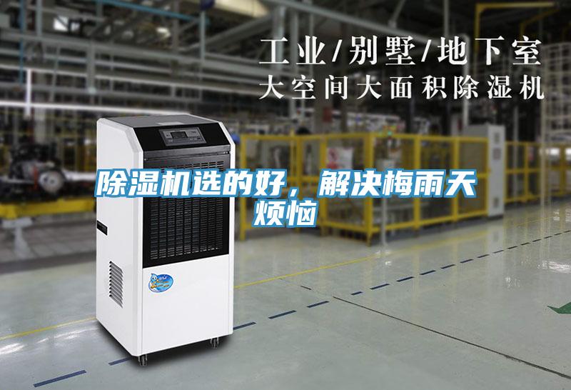 除濕機選的好，解決梅雨天煩惱