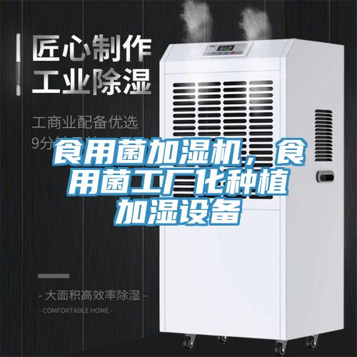 食用菌加濕機(jī)，食用菌工廠化種植加濕設(shè)備