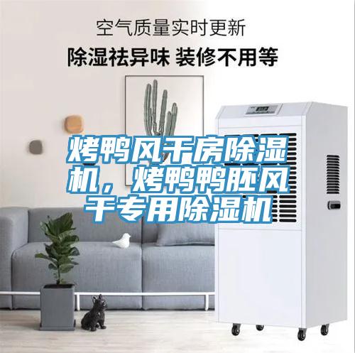 烤鴨風(fēng)干房除濕機(jī)，烤鴨鴨胚風(fēng)干專用除濕機(jī)