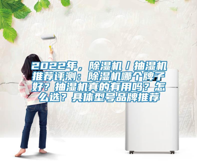 2022年，除濕機／抽濕機推薦評測：除濕機哪個牌子好？抽濕機真的有用嗎？怎么選？具體型號品牌推薦