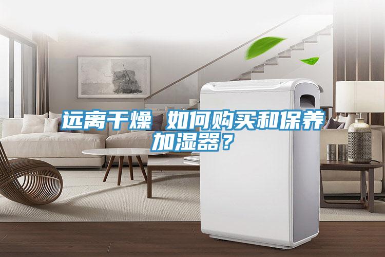 遠離干燥 如何購買和保養(yǎng)加濕器？
