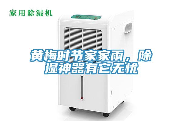 黃梅時節(jié)家家雨，除濕神器有它無憂