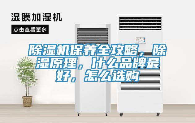 除濕機(jī)保養(yǎng)全攻略，除濕原理，什么品牌最好，怎么選購(gòu)