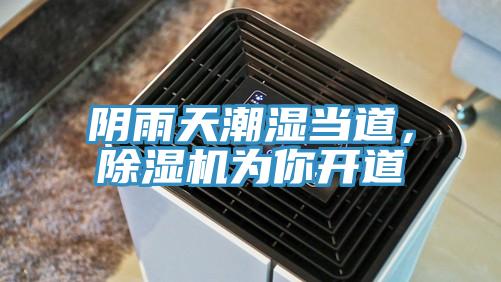 陰雨天潮濕當(dāng)?shù)溃凉駲C(jī)為你開(kāi)道