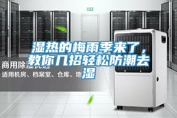 濕熱的梅雨季來了，教你幾招輕松防潮去濕