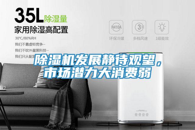 除濕機發(fā)展靜待觀望，市場潛力大消費弱