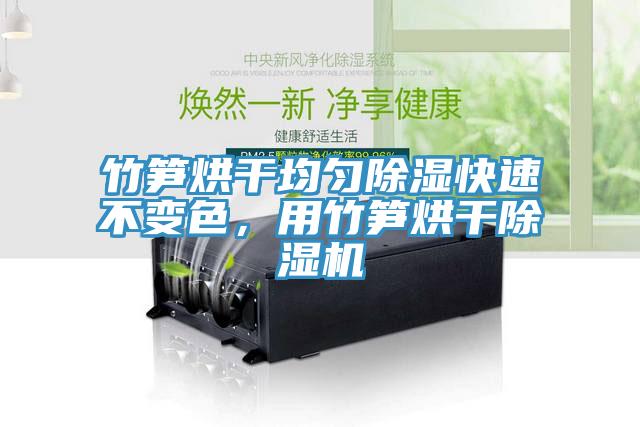 竹筍烘干均勻除濕快速不變色，用竹筍烘干除濕機(jī)