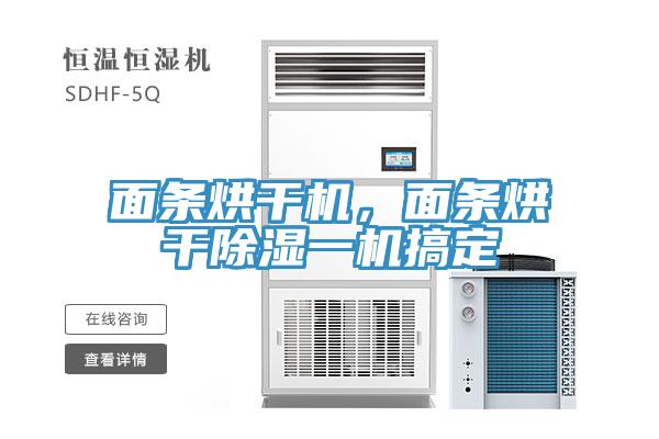 面條烘干機(jī)，面條烘干除濕一機(jī)搞定