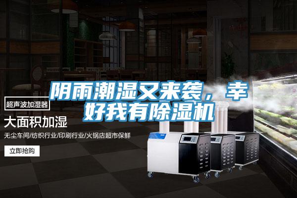 陰雨潮濕又來(lái)襲，幸好我有除濕機(jī)