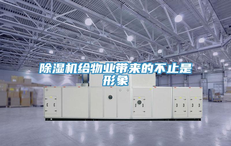 除濕機(jī)給物業(yè)帶來(lái)的不止是形象