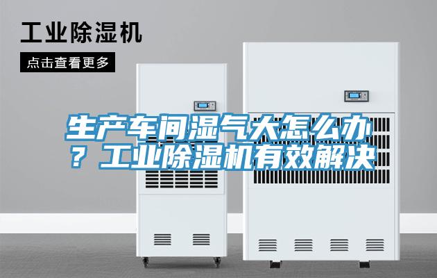 生產(chǎn)車間濕氣大怎么辦？工業(yè)除濕機(jī)有效解決