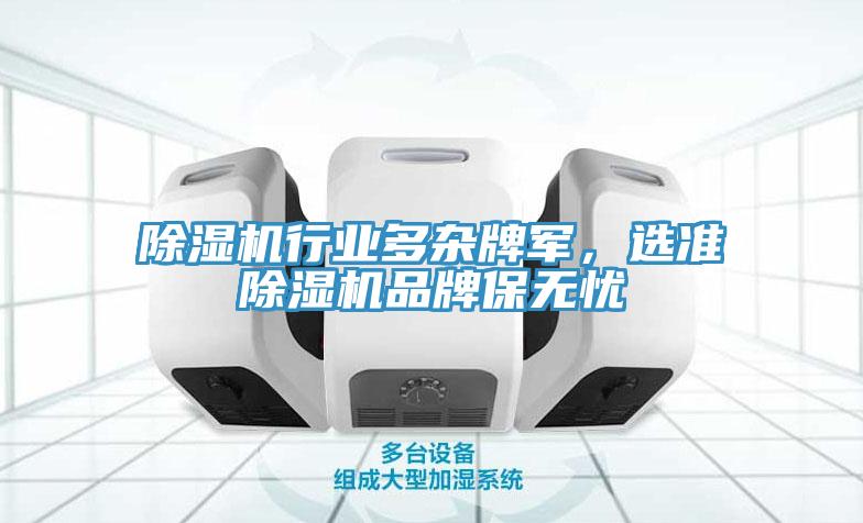 除濕機(jī)行業(yè)多雜牌軍，選準(zhǔn)除濕機(jī)品牌保無(wú)憂