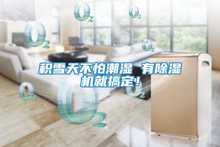 積雪天不怕潮濕 有除濕機就搞定！