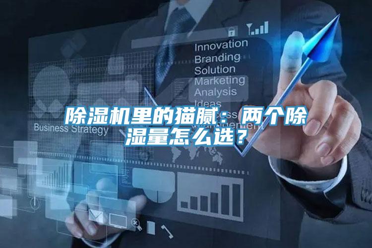 除濕機(jī)里的貓膩：兩個除濕量怎么選？