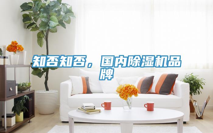 知否知否，國(guó)內(nèi)除濕機(jī)品牌
