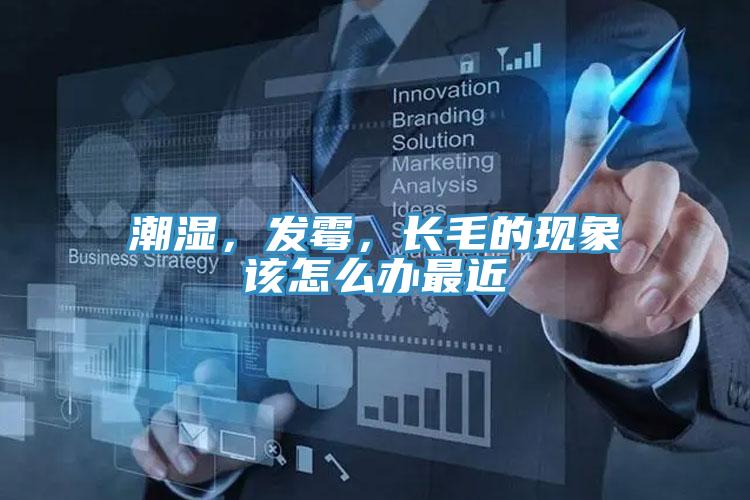潮濕，發(fā)霉，長毛的現(xiàn)象該怎么辦最近