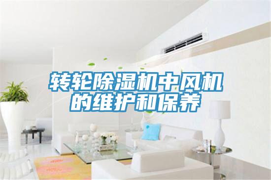 轉(zhuǎn)輪除濕機中風(fēng)機的維護(hù)和保養(yǎng)