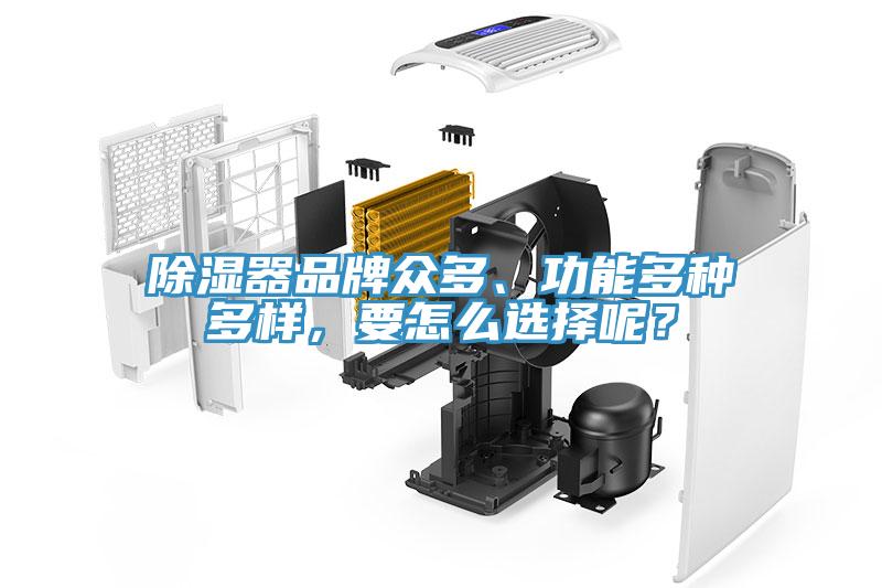 除濕器品牌眾多、功能多種多樣，要怎么選擇呢？