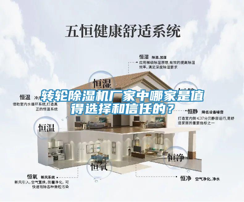 轉(zhuǎn)輪除濕機廠家中哪家是值得選擇和信任的？
