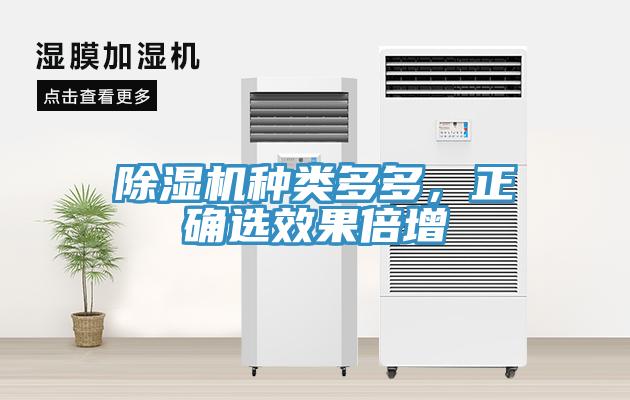 除濕機種類多多，正確選效果倍增
