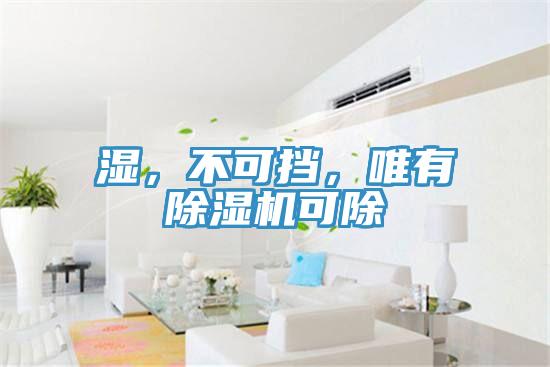濕，不可擋，唯有除濕機(jī)可除