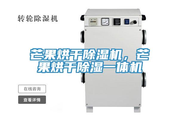 芒果烘干除濕機(jī)，芒果烘干除濕一體機(jī)