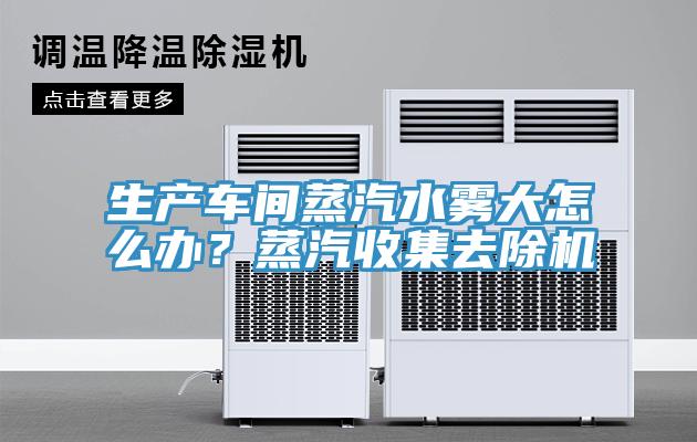 生產(chǎn)車間蒸汽水霧大怎么辦？蒸汽收集去除機(jī)