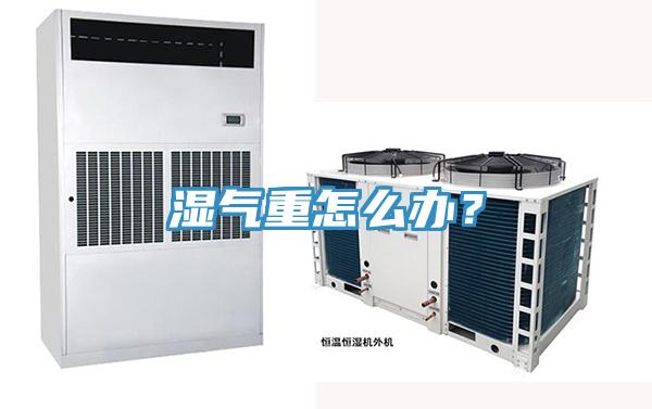 濕氣重怎么辦？