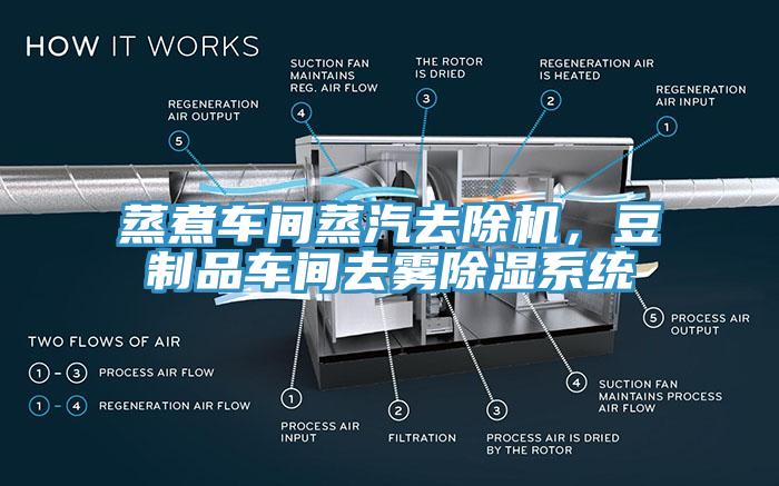 蒸煮車間蒸汽去除機(jī)，豆制品車間去霧除濕系統(tǒng)