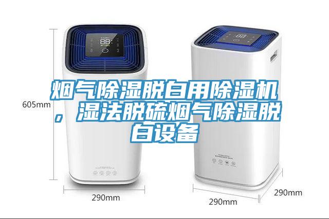煙氣除濕脫白用除濕機，濕法脫硫煙氣除濕脫白設(shè)備