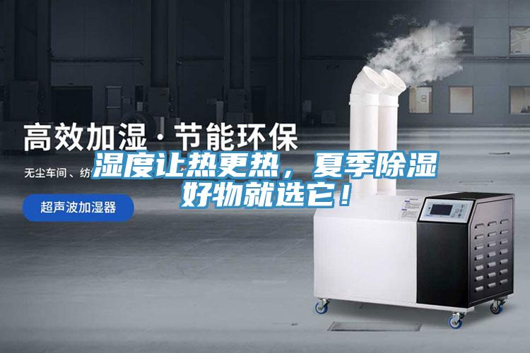 濕度讓熱更熱，夏季除濕好物就選它！