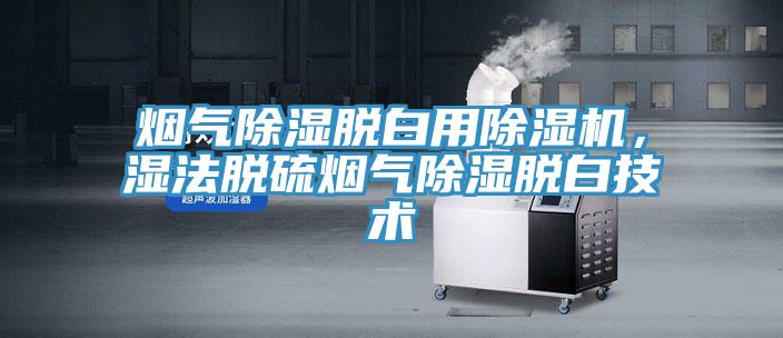 煙氣除濕脫白用除濕機，濕法脫硫煙氣除濕脫白技術(shù)