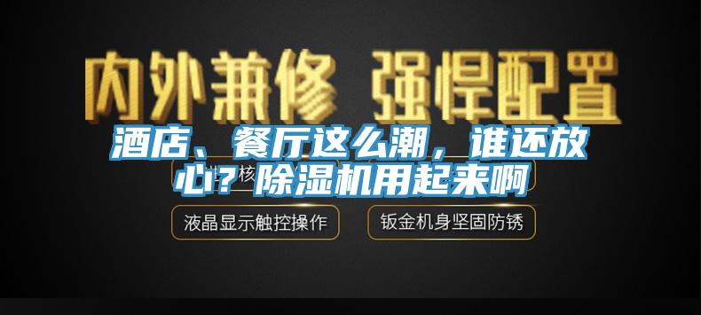 酒店、餐廳這么潮，誰(shuí)還放心？除濕機(jī)用起來(lái)啊