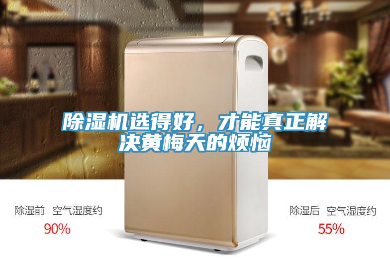 除濕機選得好，才能真正解決黃梅天的煩惱