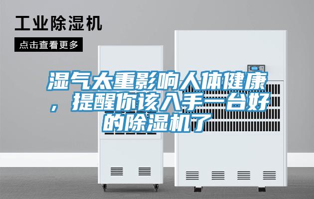 濕氣太重影響人體健康，提醒你該入手一臺好的除濕機(jī)了