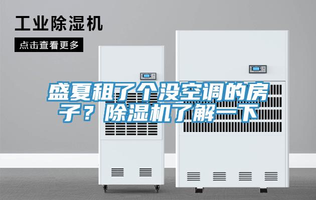 盛夏租了個(gè)沒(méi)空調(diào)的房子？除濕機(jī)了解一下