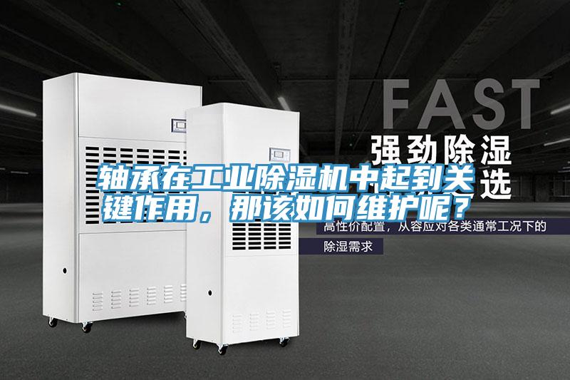 軸承在工業(yè)除濕機中起到關(guān)鍵作用，那該如何維護呢？