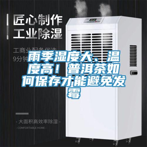 雨季濕度大、溫度高！普洱茶如何保存才能避免發(fā)霉