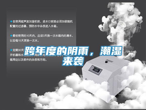 跨年度的陰雨，潮濕來襲