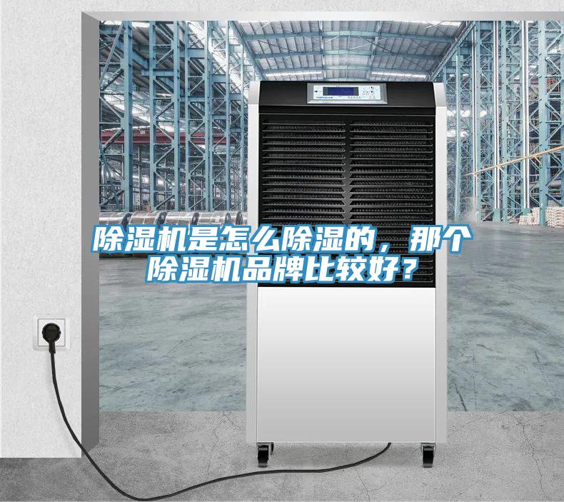除濕機(jī)是怎么除濕的，那個(gè)除濕機(jī)品牌比較好？