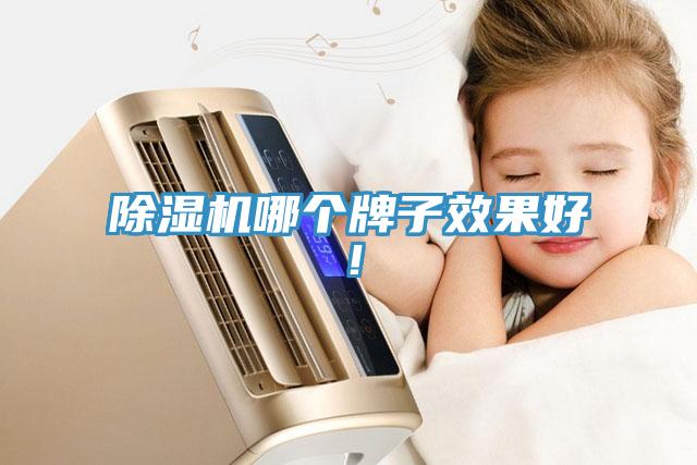除濕機(jī)哪個牌子效果好！