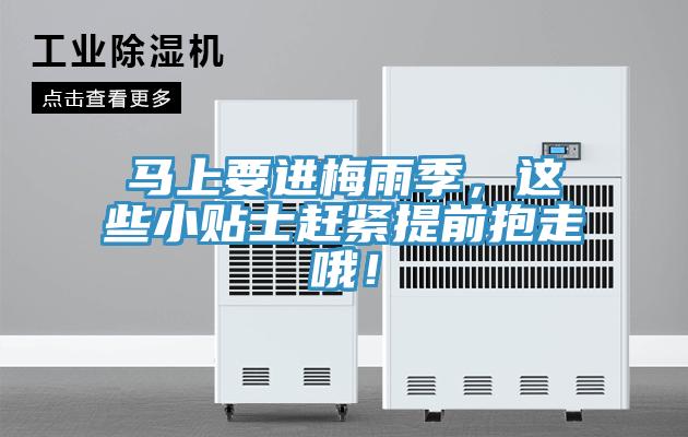 馬上要進(jìn)梅雨季，這些小貼士趕緊提前抱走哦！