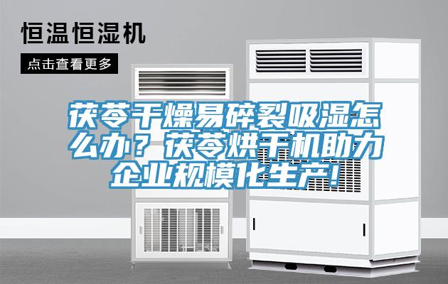 茯苓干燥易碎裂吸濕怎么辦？茯苓烘干機(jī)助力企業(yè)規(guī)模化生產(chǎn)!