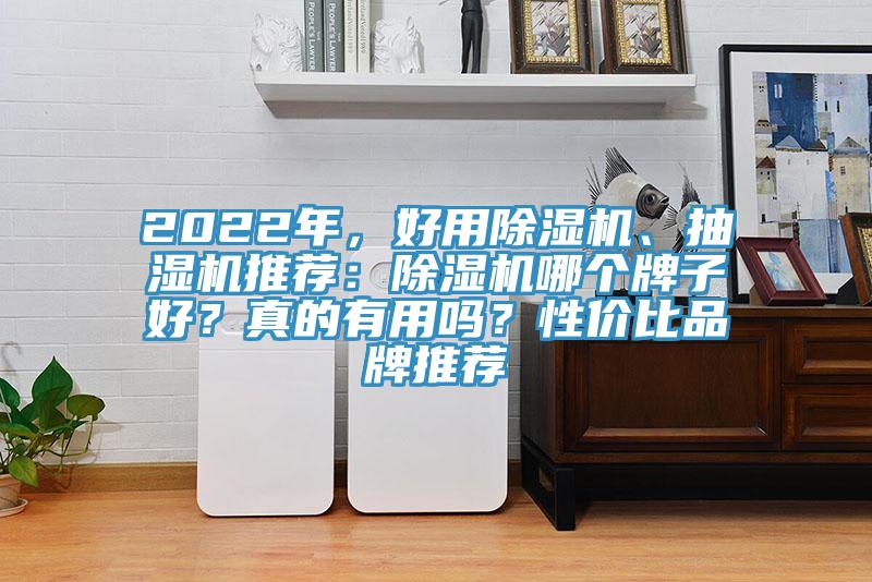 2022年，好用除濕機、抽濕機推薦：除濕機哪個牌子好？真的有用嗎？性價比品牌推薦