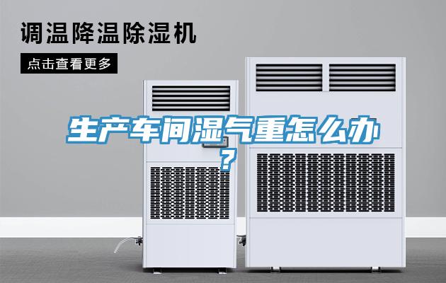 生產(chǎn)車間濕氣重怎么辦？