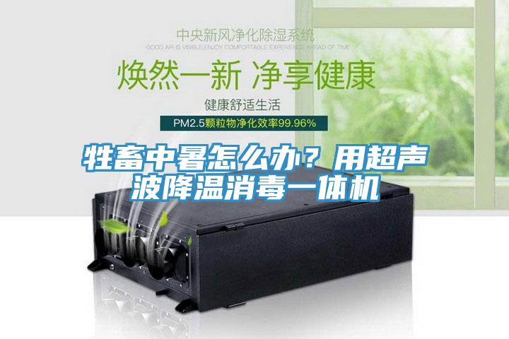 牲畜中暑怎么辦？用超聲波降溫消毒一體機(jī)