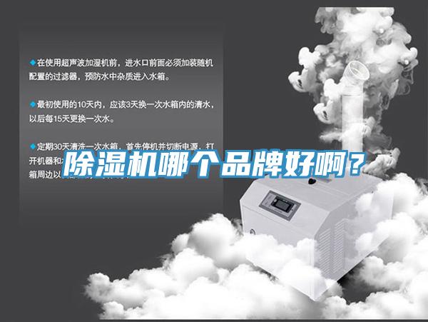 除濕機(jī)哪個品牌好??？