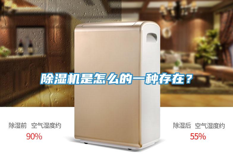 除濕機(jī)是怎么的一種存在？