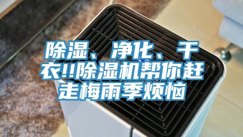 除濕、凈化、干衣!!除濕機(jī)幫你趕走梅雨季煩惱