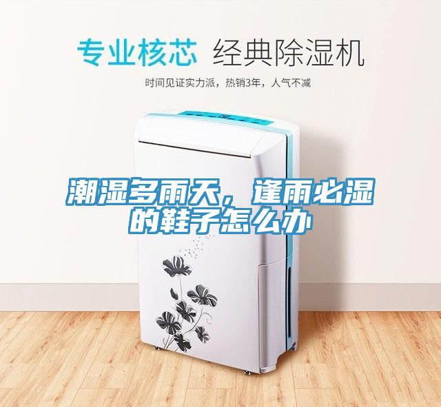 潮濕多雨天，逢雨必濕的鞋子怎么辦